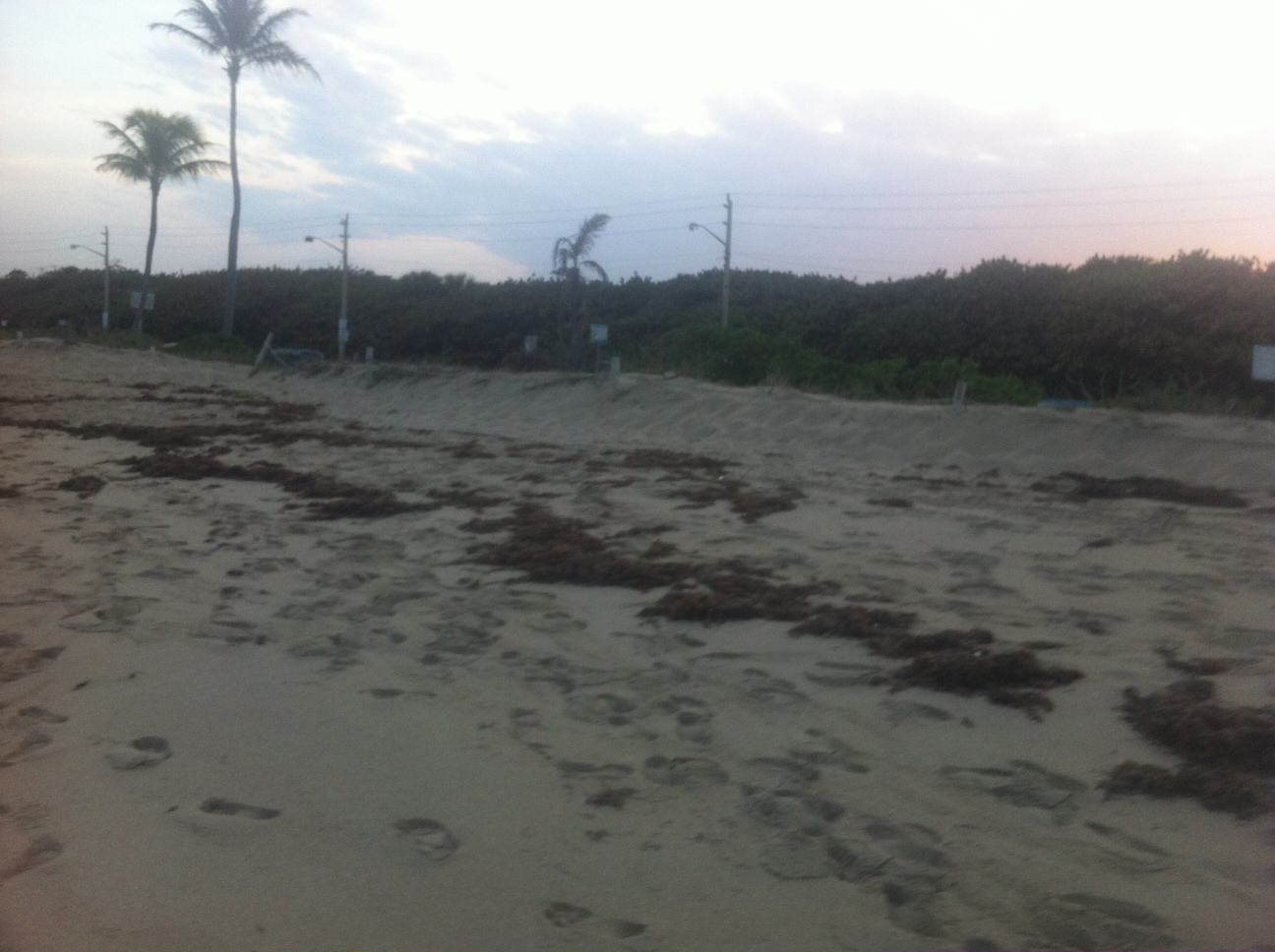 High Tide line away from the curtain, impacts are wider than the construction project