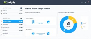 Bidgely Whole House Usage Details - solar